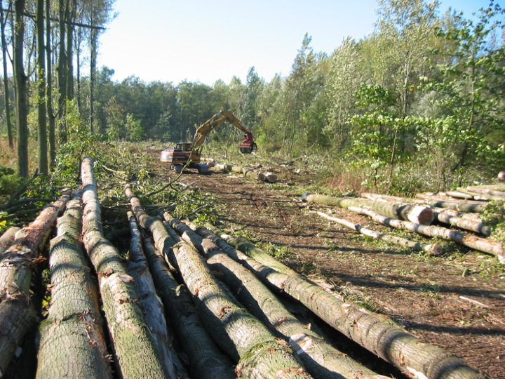 Préparation d’exploitation forestière